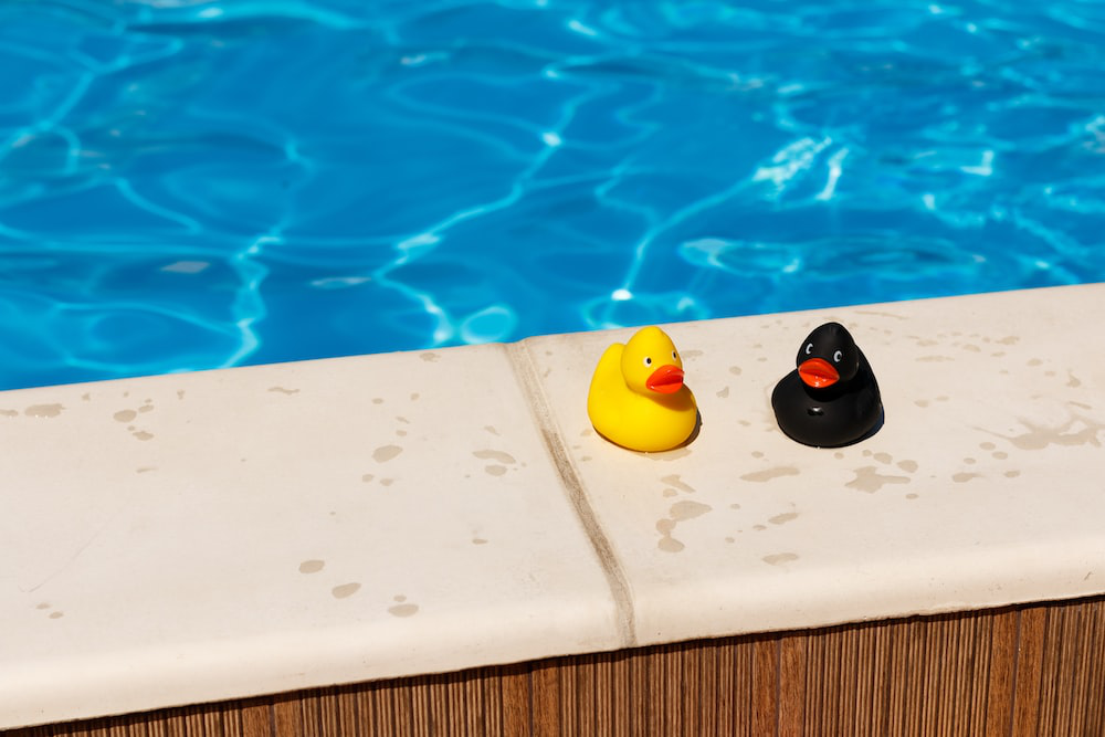 Rubber ducks placed near a poolside. 